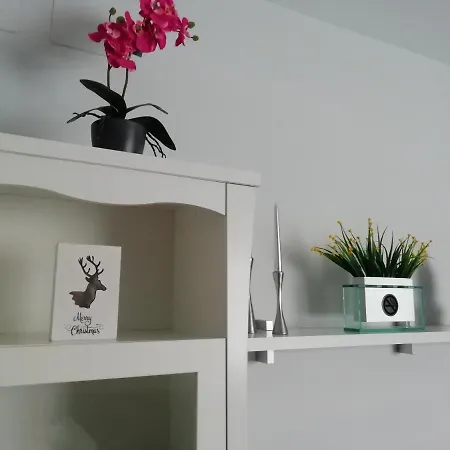 Carihuela New Design On Apartment
